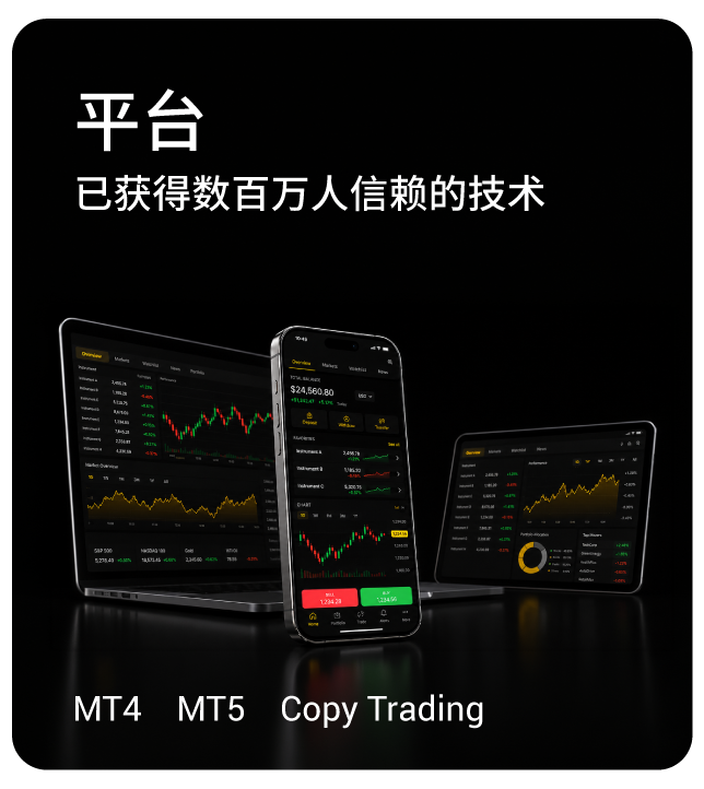 平台 - 已获得数百万人信赖的技术。MT4, MT5, cTrader, copytrading